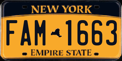 NY license plate FAM1663
