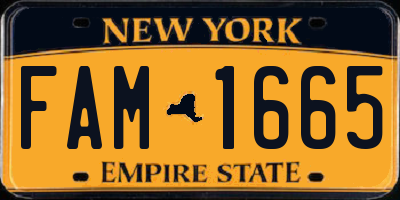 NY license plate FAM1665