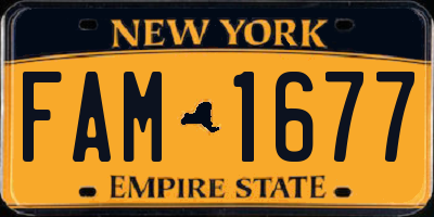 NY license plate FAM1677