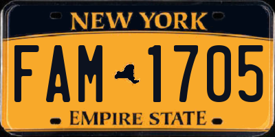 NY license plate FAM1705