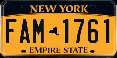 NY license plate FAM1761