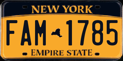 NY license plate FAM1785