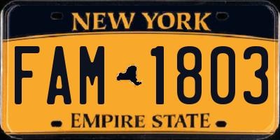 NY license plate FAM1803