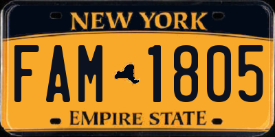 NY license plate FAM1805