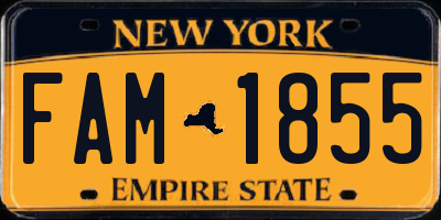 NY license plate FAM1855