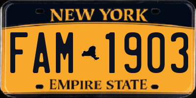 NY license plate FAM1903