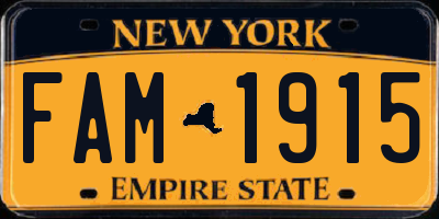 NY license plate FAM1915