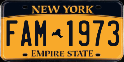 NY license plate FAM1973