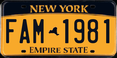 NY license plate FAM1981