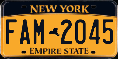 NY license plate FAM2045