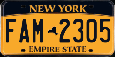 NY license plate FAM2305