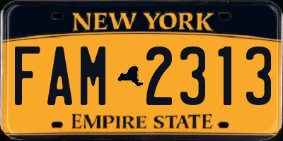 NY license plate FAM2313