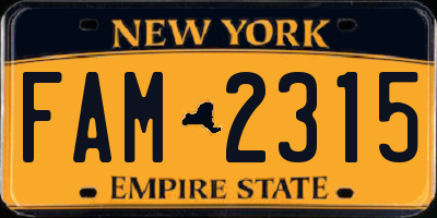 NY license plate FAM2315