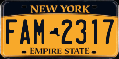 NY license plate FAM2317