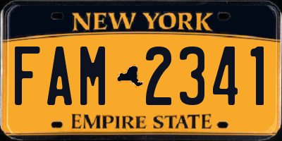 NY license plate FAM2341