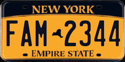 NY license plate FAM2344