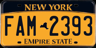 NY license plate FAM2393