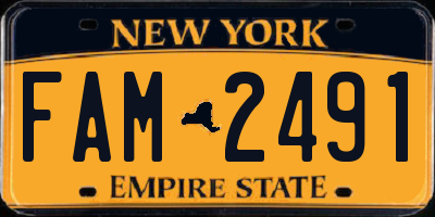 NY license plate FAM2491