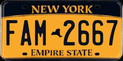 NY license plate FAM2667