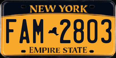 NY license plate FAM2803