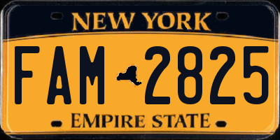 NY license plate FAM2825