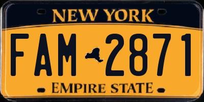 NY license plate FAM2871