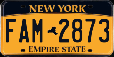 NY license plate FAM2873