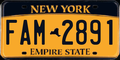 NY license plate FAM2891