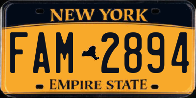 NY license plate FAM2894