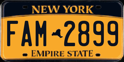 NY license plate FAM2899