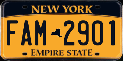 NY license plate FAM2901