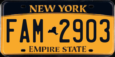 NY license plate FAM2903
