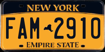 NY license plate FAM2910
