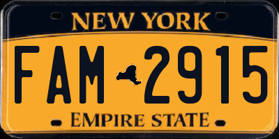NY license plate FAM2915
