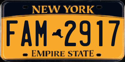 NY license plate FAM2917