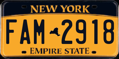 NY license plate FAM2918