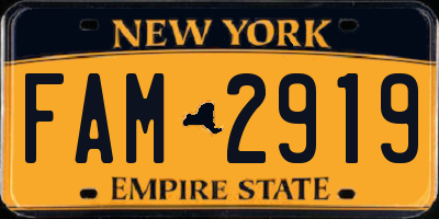 NY license plate FAM2919