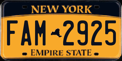 NY license plate FAM2925