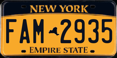 NY license plate FAM2935
