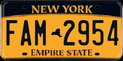 NY license plate FAM2954