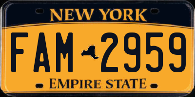 NY license plate FAM2959