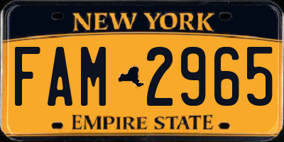 NY license plate FAM2965