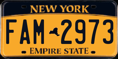 NY license plate FAM2973