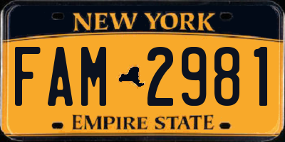 NY license plate FAM2981