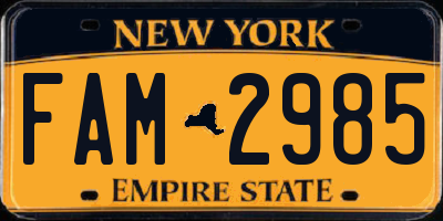 NY license plate FAM2985