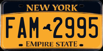 NY license plate FAM2995