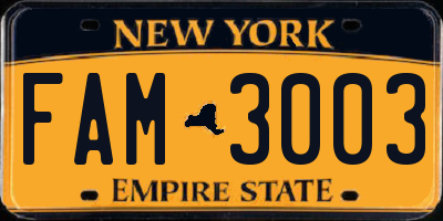 NY license plate FAM3003