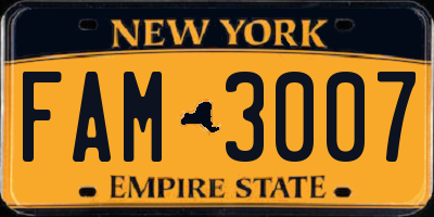 NY license plate FAM3007