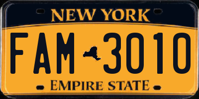 NY license plate FAM3010
