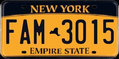 NY license plate FAM3015